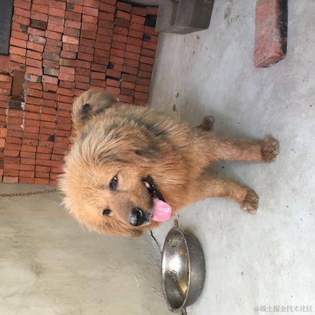 来自艾欧尼亚的最强王者于2021-12-26 17:38发布的图片