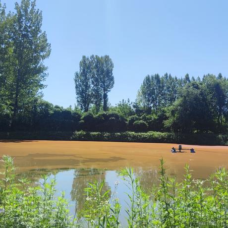 卖菜_摊主于2022-07-23 19:05发布的图片