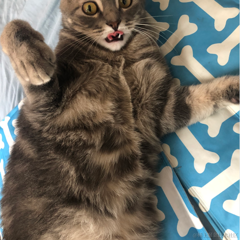 白又白i于2021-08-23 13:30发布的图片