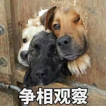 郭亚兰于2021-07-30 12:12发布的图片