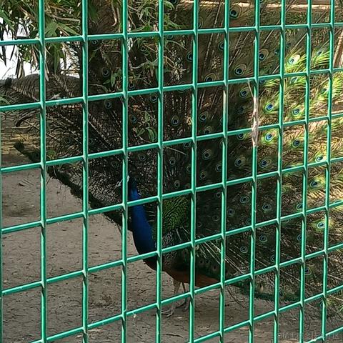 浮途途于2023-04-30 18:51发布的图片