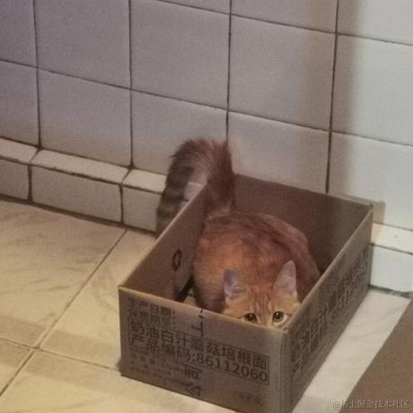 鲨脆脆脆于2023-06-11 19:12发布的图片