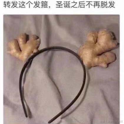 是陈坚强啊于2020-12-24 14:44发布的图片