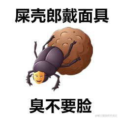 踏歌笙于2021-09-30 09:51发布的图片