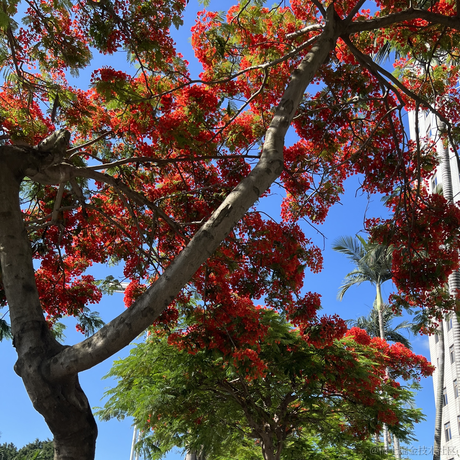 秋秋秋糖于2023-05-31 13:15发布的图片