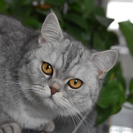 进阶的小叮当于2023-05-29 20:50发布的图片