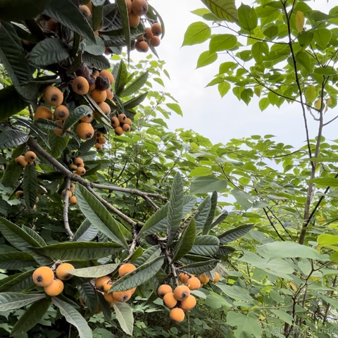 用户1183420472903于2023-05-09 23:44发布的图片