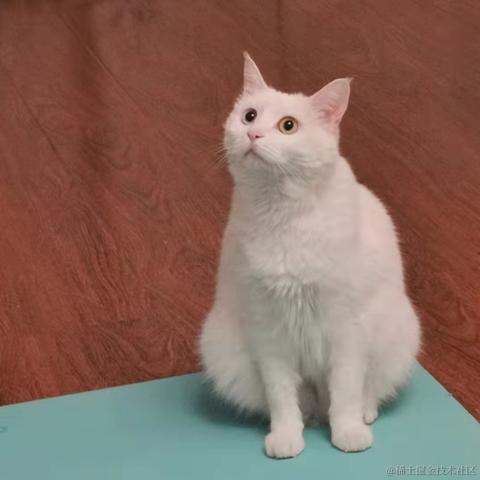 路有冻死狗于2021-10-27 19:03发布的图片