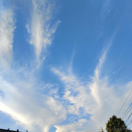 果丹皮一伯昏于2022-11-15 10:16发布的图片