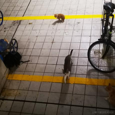 Dreamsidemroon于2022-11-27 18:57发布的图片