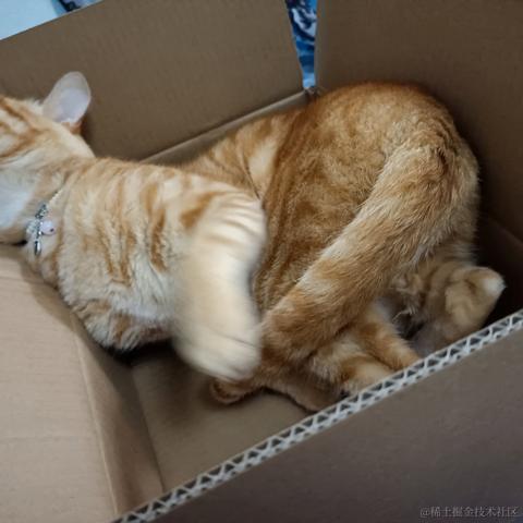 蒂娜今天吃什么于2022-11-26 00:20发布的图片