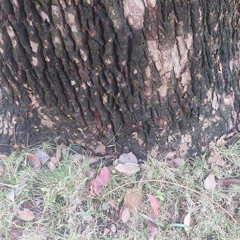 猫雷最强于2022-11-10 16:50发布的图片