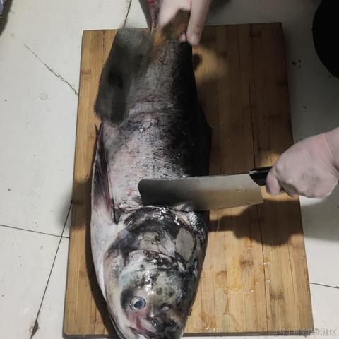 用户7210340961494于2023-01-18 22:26发布的图片