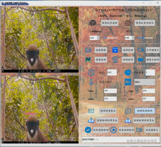 高精度猴子检测识别系统2525.png