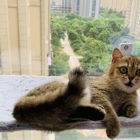 阿尼亞于2023-07-18 09:27发布的图片