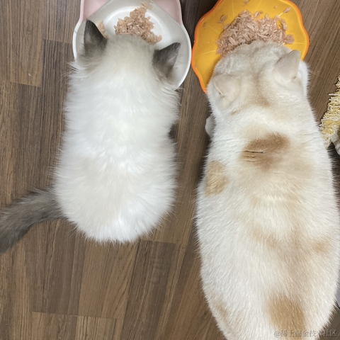 涟漪君丶于2023-01-02 18:01发布的图片