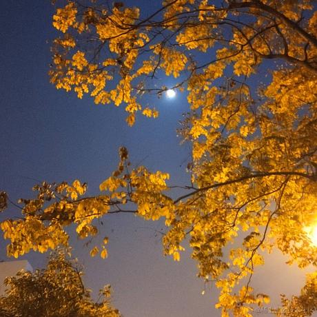 已注销于2022-11-10 23:14发布的图片