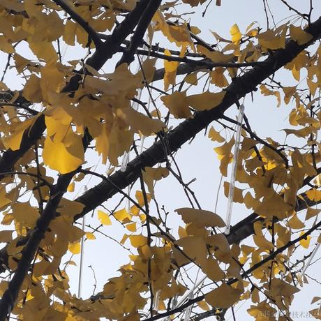 abcandy于2022-12-14 08:49发布的图片