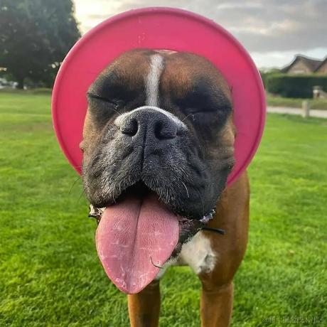 张顺飞于2021-11-25 14:53发布的图片