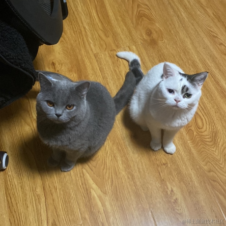 库洛米于2022-11-19 14:53发布的图片