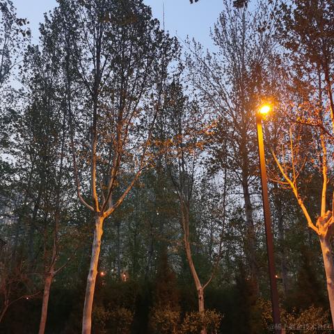 不可思于2023-04-01 13:19发布的图片