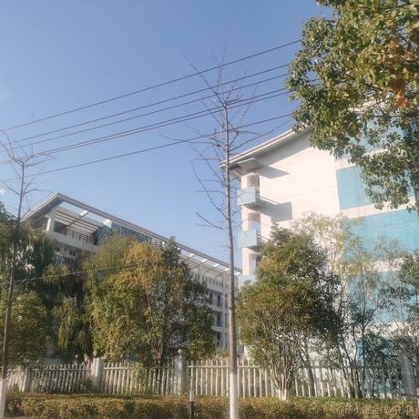 TIEEEN于2022-12-14 09:44发布的图片