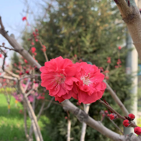 不知道起什么名字啊于2022-04-08 21:44发布的图片