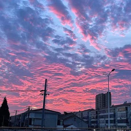 翻斗花园胡图图于2023-07-11 09:24发布的图片