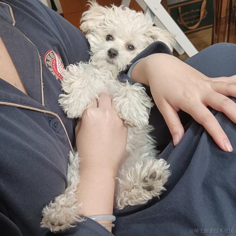 宣春不饿于2022-11-29 20:13发布的图片