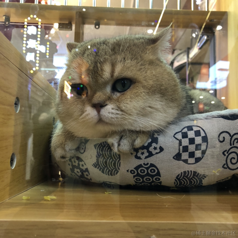 Remember_r于2022-11-14 08:48发布的图片