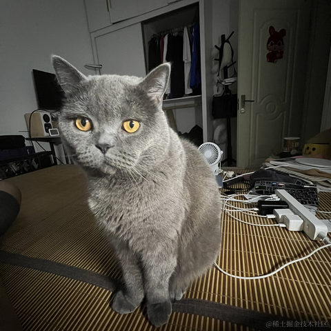 bellaQAQ于2023-06-29 09:58发布的图片