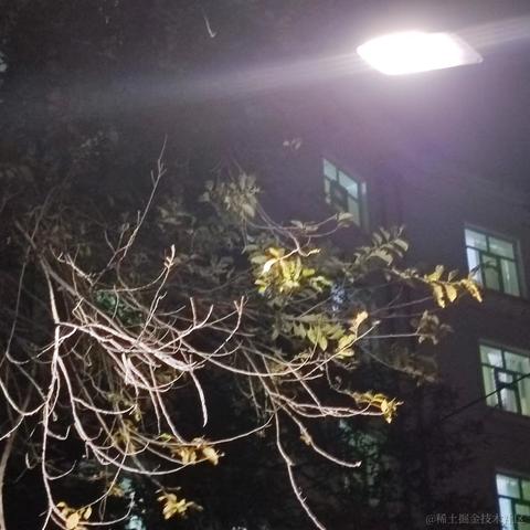 现代忍者于2022-10-10 23:27发布的图片