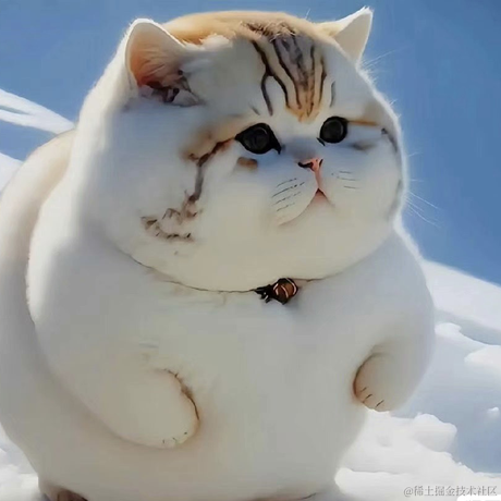 软希网分享源码于2023-05-10 13:24发布的图片