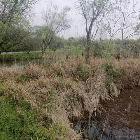 云猊于2023-04-01 11:59发布的图片