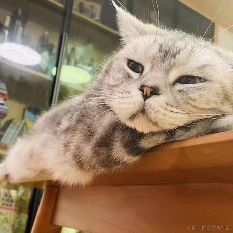 StartFromThird于2021-09-23 12:51发布的图片