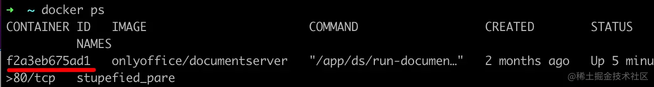 onlyoffice-docker-ps.png