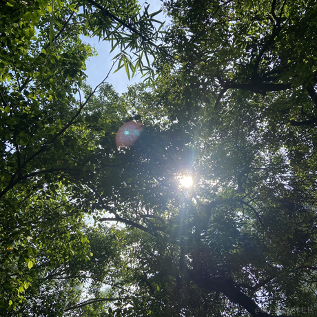 用户808于2023-06-24 11:57发布的图片