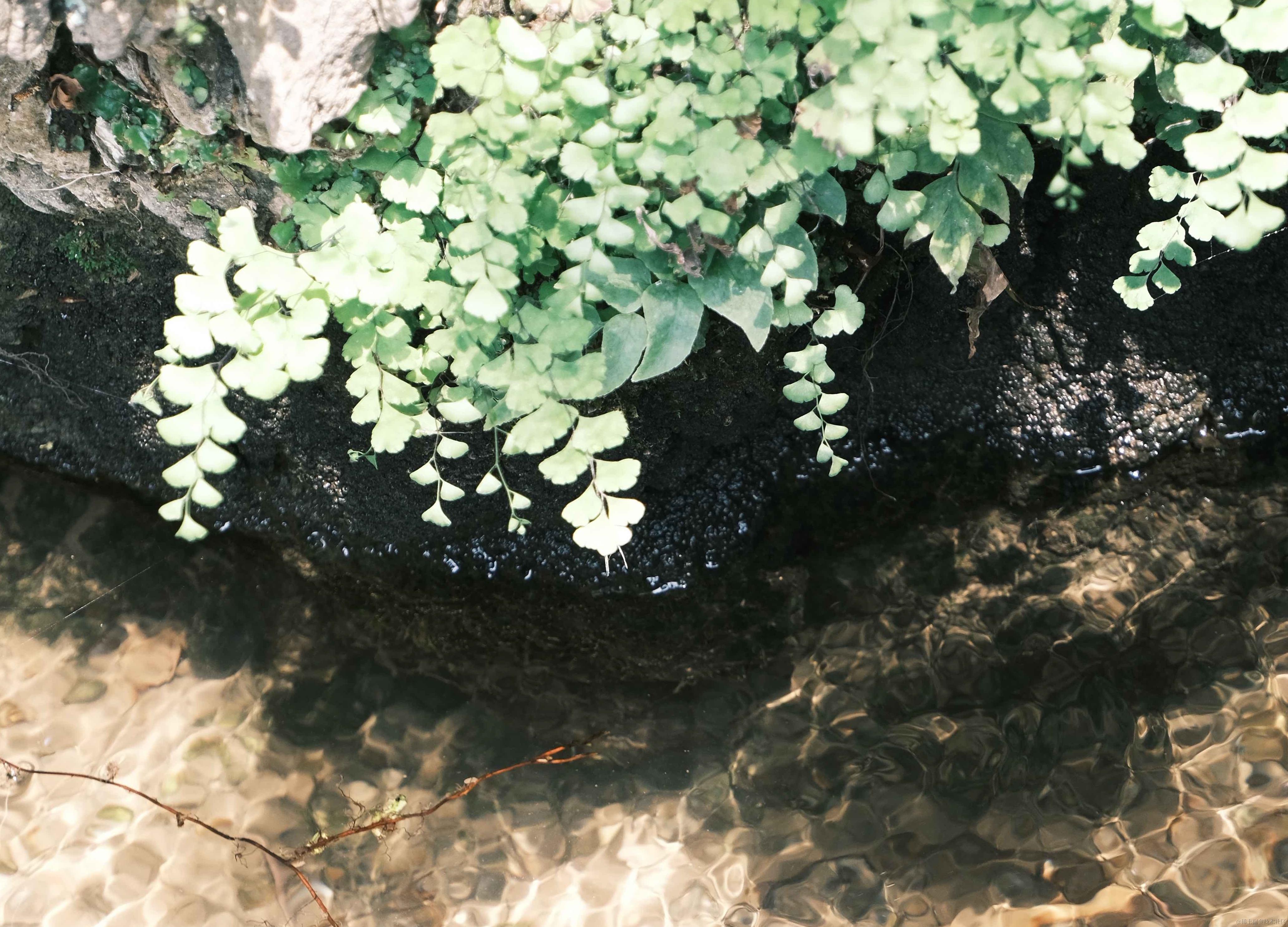 算法与数据结构