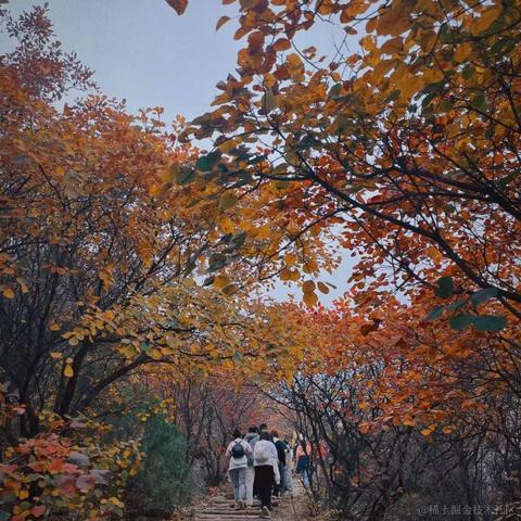 EmilyTian于2023-11-08 09:26发布的图片