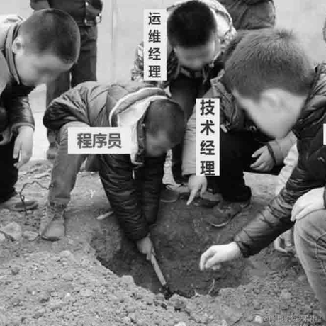 飞起来_飞过来于2022-06-12 19:04发布的图片