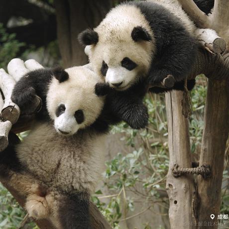 贝拉拉贝拉拉于2022-12-09 09:08发布的图片