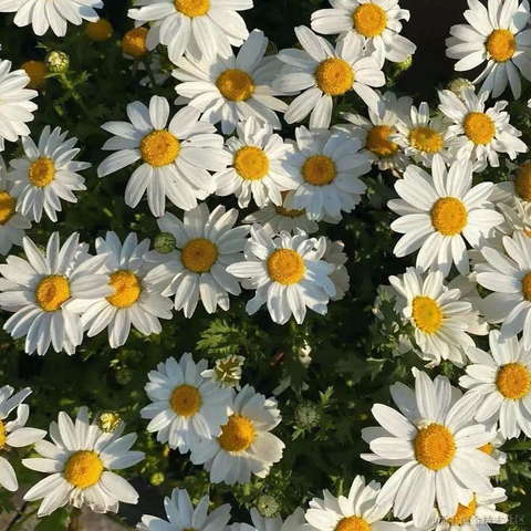 已注销于2021-05-08 14:10发布的图片