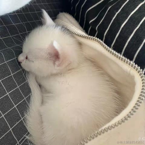 阿甘与阿Q于2021-10-28 10:32发布的图片