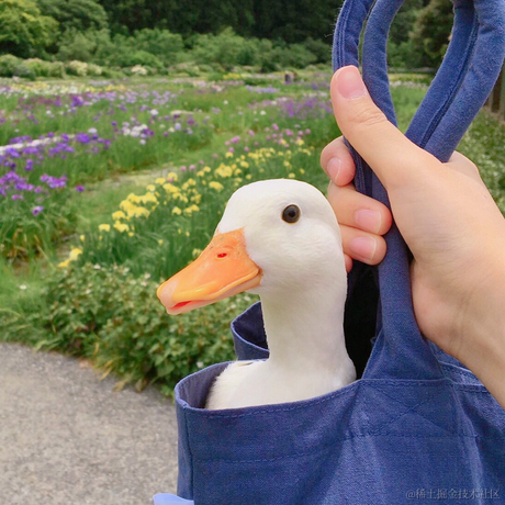 和夜于2021-04-27 13:41发布的图片