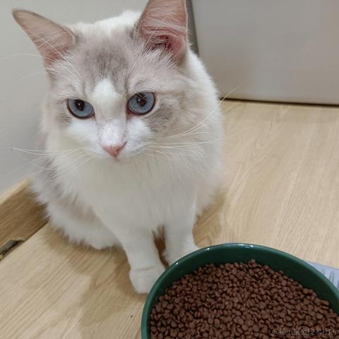 心想事成717于2023-06-25 14:24发布的图片