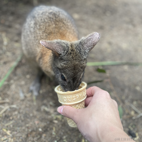 TdoU于2022-11-18 06:29发布的图片
