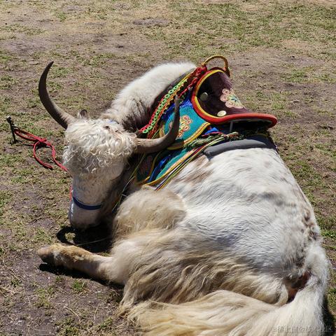 用户9132133315776于2022-12-02 19:58发布的图片