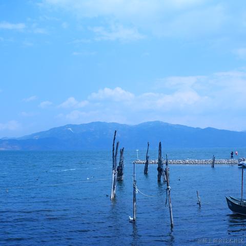 AAA加瓦咖啡批发老陈于2023-03-02 03:29发布的图片