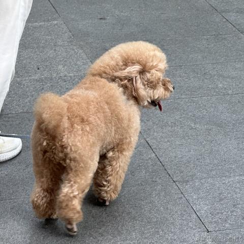 那我关月亮咯于2023-06-27 13:55发布的图片