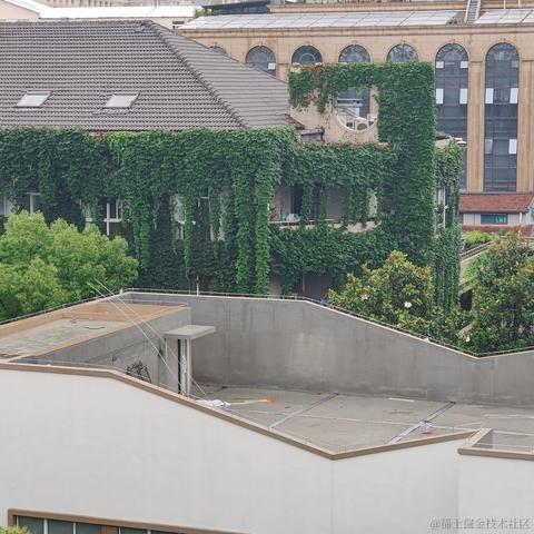 北半球的孤单于2023-06-19 08:10发布的图片